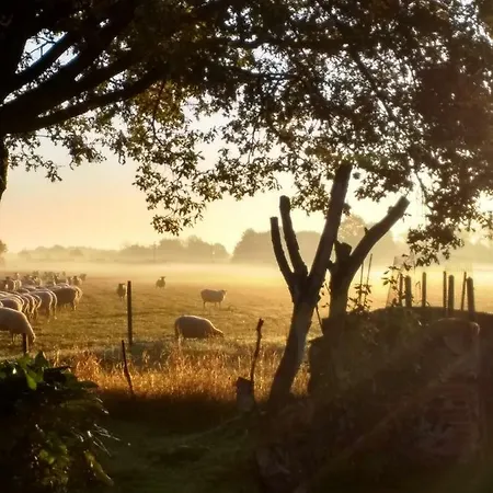 Rose Barn - Adorable Country With Private Pool וילה Cersay